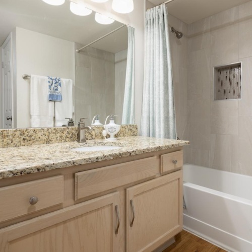 a bathroom with a marble countertop
